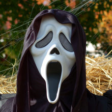 Load image into Gallery viewer, Halloween Mask Halloween Ghost Head Face Mask Novelty Scary Skull Full Head Masque for Masquerade Party Carnival Fancy Cosplay Party Halloween Decoration