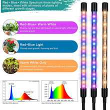 Load image into Gallery viewer, LED Grow Lights for Indoor Plants Full Spectrum Plant Light with 4-Head LED Grow Light, 15-60 in Adjustable Tripod Stand, Red Blue with Remote Control