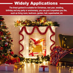 50FT Garland Red