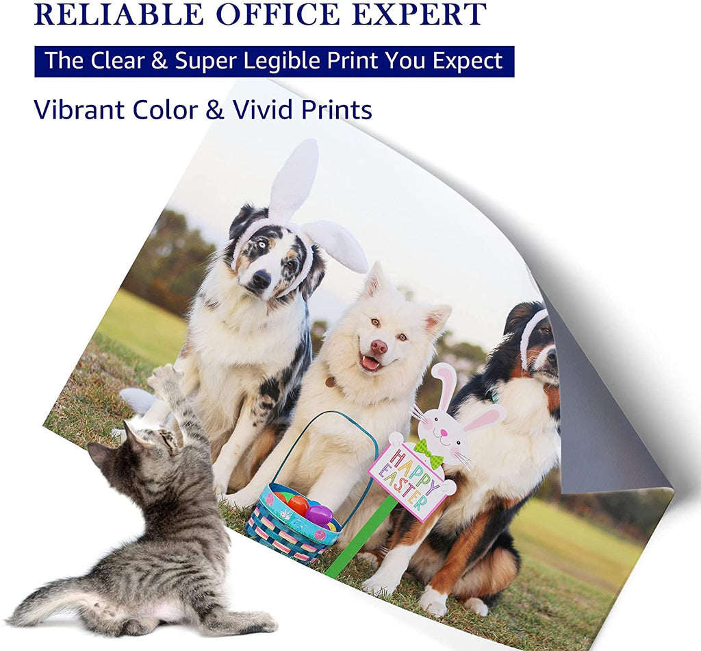 MOOHO Remanufactured Ink Cartridge Replacement for 288 288XL T288 T288XL High Yield to use with XP-440 XP-446 XP-340 XP-330 XP-430 XP-434 XP-240 Printers (2 Black, 1 Cyan, 1 Magenta, 1 Yellow, 5 Pack)