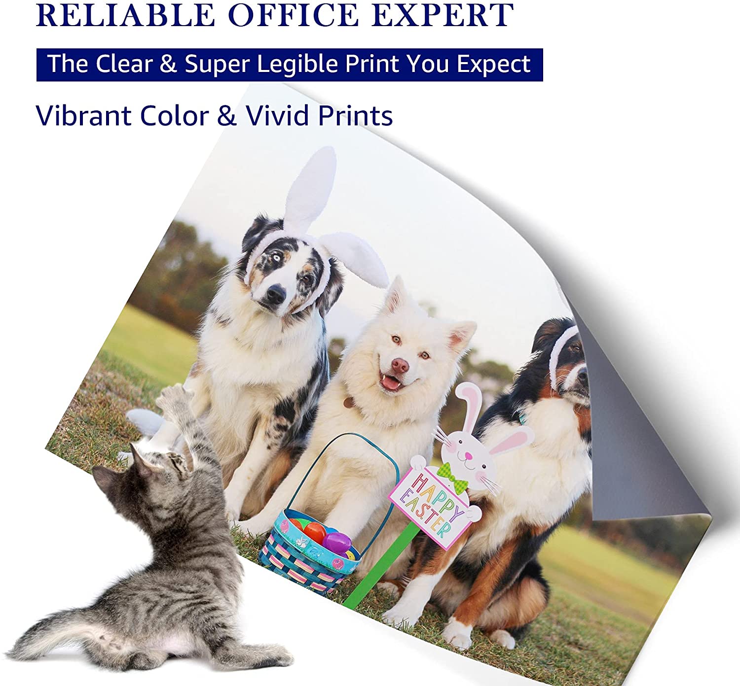 MOOHO Remanufactured Ink Cartridge Replacement for 288 288XL T288 T288XL High Yield to use with XP-440 XP-446 XP-340 XP-330 XP-430 XP-434 XP-240 Printers (2 Black, 1 Cyan, 1 Magenta, 1 Yellow, 5 Pack)