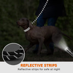 Rope Dog Leash 6FT with Comfortable Padded Handle, Highly Reflective Threads Strong Dog Leash for Puppies Small Medium and Large Dogs